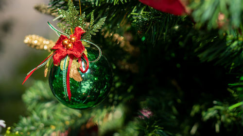 Close-up of christmas tree