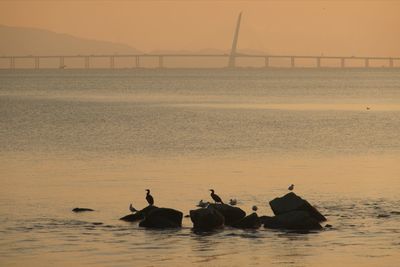 Silhouette people on bridge over sea against sky during sunset