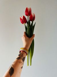 Cropped hand of woman holding bouquet
