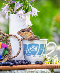 Close-up of teapot on table