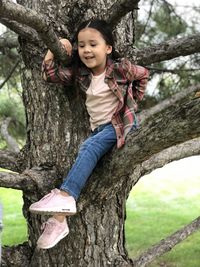 Climbing trees - low angle