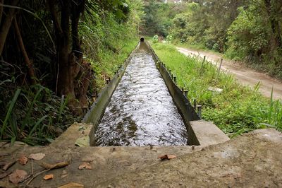 Footbridge over river in forest