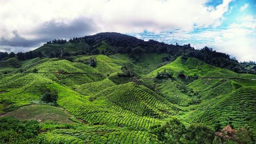 Scenic view of landscape against cloudy sky