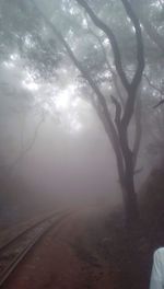 Scenic view of fog against sky