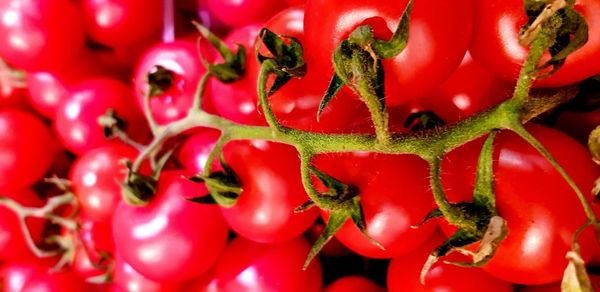 Full frame shot of red chili peppers