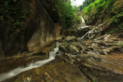 Scenic view of waterfall in forest