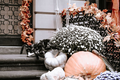 Autumn pumpkins decorated in front door on the steps. halloween decorations outside. empty space