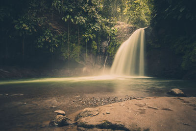Scenic view of waterfall against trees
