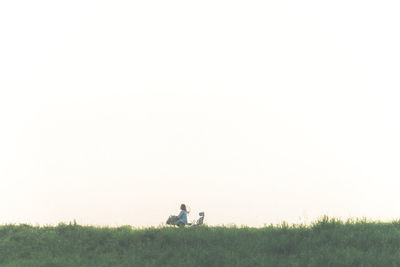 grass