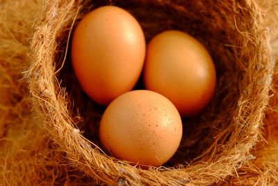 3 european chicken eggs in a rope nest