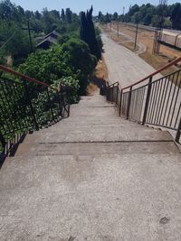 Footpath amidst trees and plants