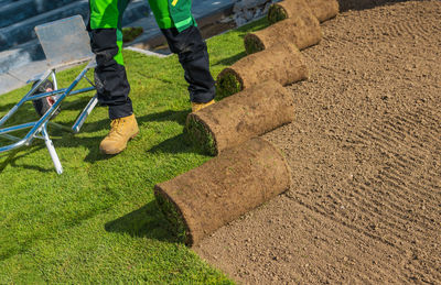 Low section of man standing on footpath