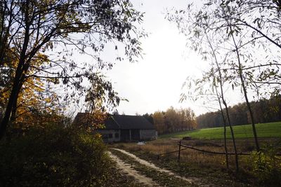 Trees and houses on field against sky