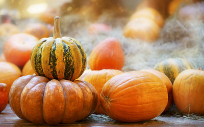 Close-up of pumpkins