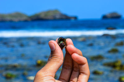 Close-up of hand holding crab on beach