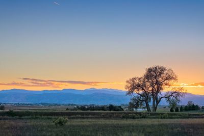 Scenic view of field against sky during sunset