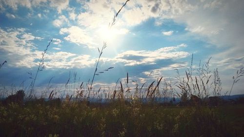 Scenic view of field against cloudy sky