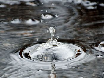 Close-up of water drop