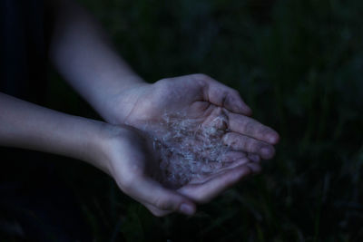 Cropped hands holding dandelion seeds at night