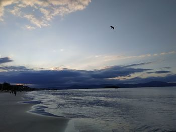 Birds flying over sea against sky