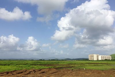 Scenic view of agricultural field against sky