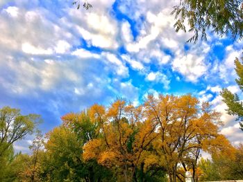 Low angle view of trees against cloudy sky