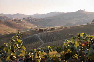 Scenic view of farm against sky