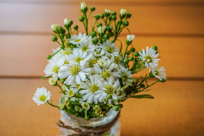 Close-up of potted plant