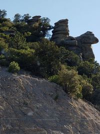 Low angle view of rock formation amidst trees against sky