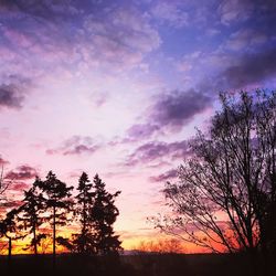 Silhouette trees against dramatic sky during sunset
