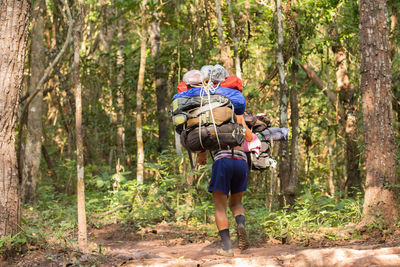 Rear view of hiker carrying luggage in forest