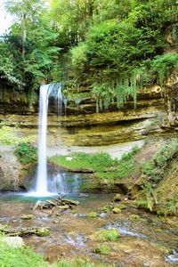 View of waterfall in forest