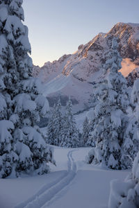 Snowy wintertime landscape with ski tracks on the sunset