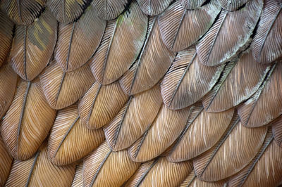 Close up detail of a statue's eagle feathers