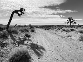 Dirt road on field against sky