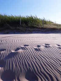 Scenic view of sand dune against clear sky