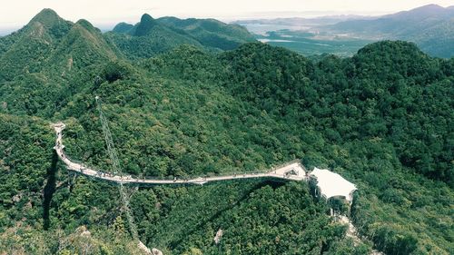 High angle view of green landscape