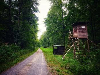 Road amidst trees in forest