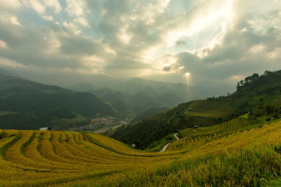 Scenic view of agricultural field against sky