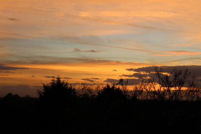 Silhouette trees on landscape against sky at sunset