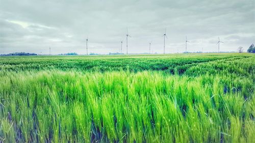 Scenic view of farm against sky