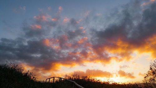 Silhouette trees against sky during sunset