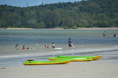 Paddleboards at beach against trees