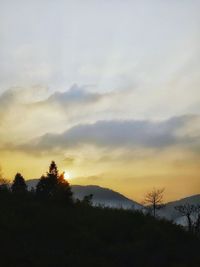 Silhouette trees on landscape against sky at sunset