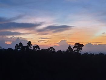 Silhouette trees against sky during sunset