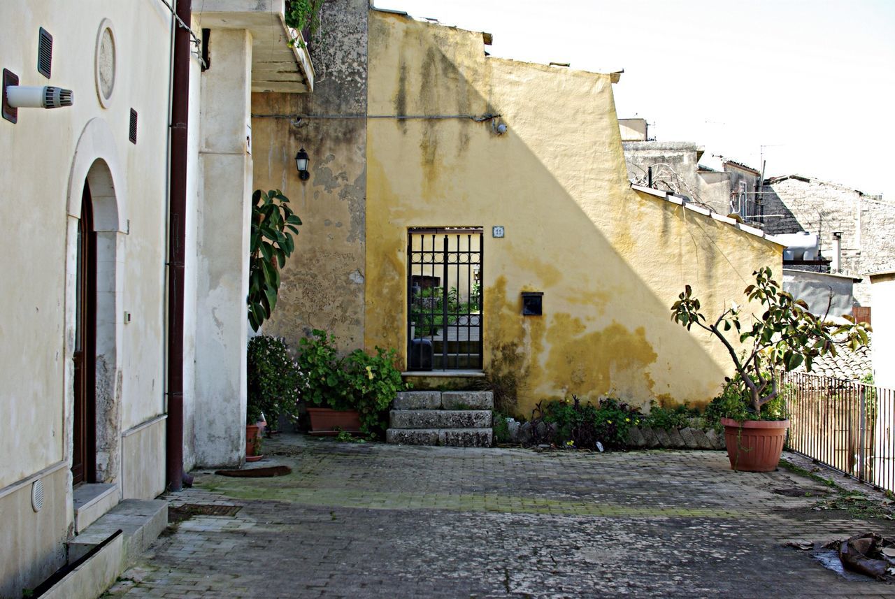 architecture, built structure, building exterior, house, residential structure, residential building, potted plant, plant, building, clear sky, the way forward, steps, old, door, day, entrance, wall - building feature, street, outdoors, no people