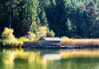 Gazebo by calm lake in forest
