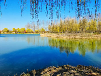 Scenic view of lake against clear blue sky