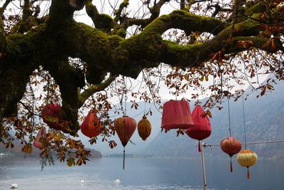 Low angle view of lanterns hanging over lake