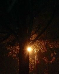 Illuminated lights in the dark